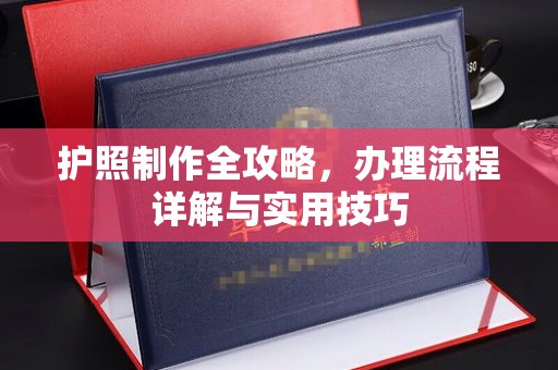 雨花台护照制作全攻略，办理流程详解与实用技巧